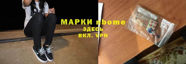 прущие грибы Алзамай